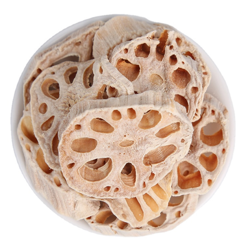 Root Terata Lotus Dehidrasi