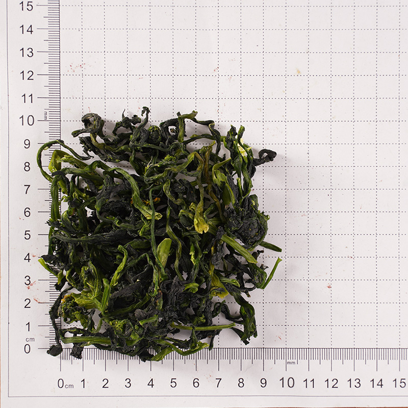 Sayuran batang hijau dehidrasi Sayuran batang hijau dehidrasi