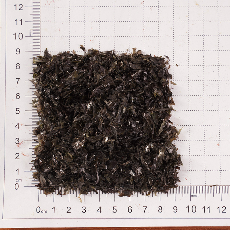 Nori Dehidrasi Nori Dehidrasi