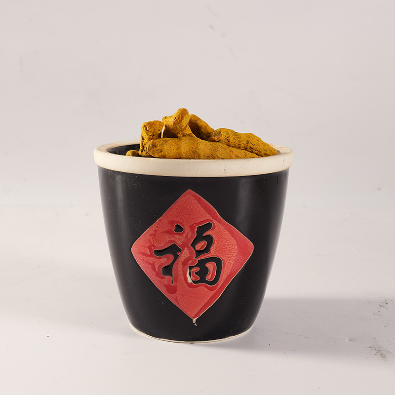 Kunyit Dehidrasi Kunyit Dehidrasi